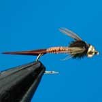 Copper John G.H.Nymph S/S Trout Fishing Fly #12 (N365)