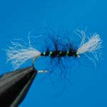 Shipman's Buzzer Black Nymph Trout Fishing Fly #12 (N213)