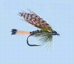 Turrall Wet Winged Sooty Olive - Ww59