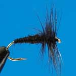 Black Spider Dry Trout Fishing Fly