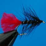 Zulu Black Wet Trout Fishing Fly #10 (W276)