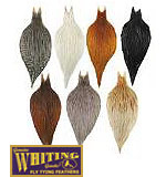 Whiting Whole Cock Necks (Bronze Grade)