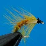 Snatcher Amber Jc Wet Trout Fishing Fly #12 (W210)