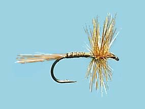 Turrall Dry Hackled Ginger Quill - Dh12