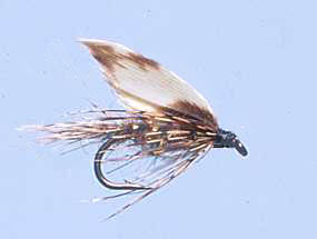 Turrall Wet Winged March Brown - Ww34