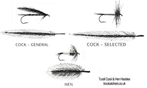Turrall Cock & Hen Hackles