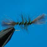 Shipmans Buzzer Olive CDC Nymph Trout Fishing Fly #12 (N812)