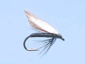Turrall Wet Winged Black Gnat - Ww04
