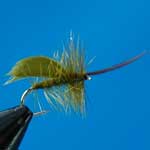 Horned Sedge Olive Special Dry Trout Fishing Fly #12 (D517)
