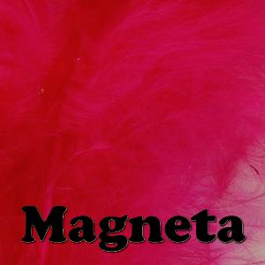 Veniard Magneta