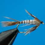 Mayfly Nymph Trout Fishing Fly #10 (N158)