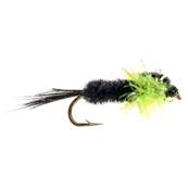 Turrall Fritz Thorax Lime Montana Trout Fly