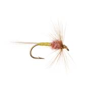 Turrall Tups Indispensable Wet Hackled Trout Fly