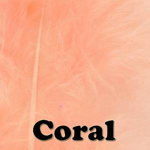 Veniard Coral