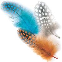 Guinea Fowl Plumage Hackles