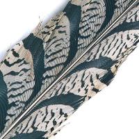 Amherst Pheasant Centre Tail Piece