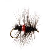 Turrall Bibio Wet Hackled Trout Fly