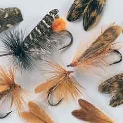Feather Caddis Wings