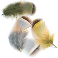 French Partridge Hackles