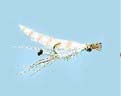 Turrall Saltwater Sparkle Shrimp - Sw38-Size 6