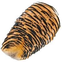 Golden Pheasant Tippet Collar 1st Grade.