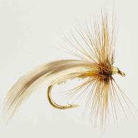 Turrall Europe 12 Caddis / Sedge Trout Fly