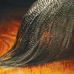 Metz Feather & Hackle Fly Tying Material Guide