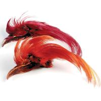 Golden Pheasant Topping Crest (Dyed)