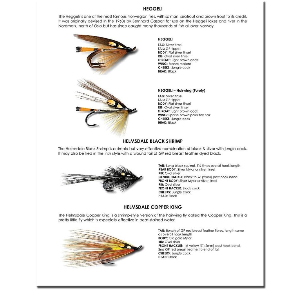 The Complete Illustrated Directory Of Salmon Flies Salmon Fishing Fly