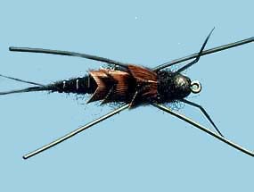 Turrall Heavy Stonefly Large Black - HS01