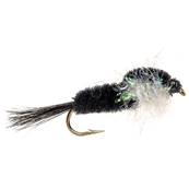 Turrall Fritz Thorax White Montana Trout Fly
