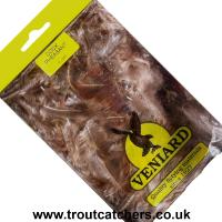 Cock Pheasant Long Brown Rump