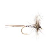 Turrall Spent Gnat Mayfly Trout Fly