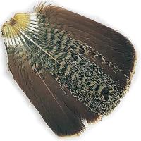 English Partridge Complete Tails