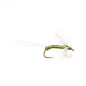 Turrall Olive Spinner Trout Fly