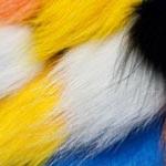 Arctic Runner Hair Fly Tying Fur