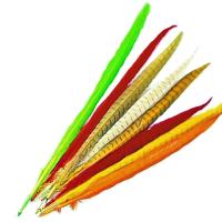 Cock Pheasant Colour Extracted & Dyed Centre Tails
