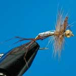Daddy Longlegs G.H.Nymph S/S Trout Fishing Fly #12 (N387)