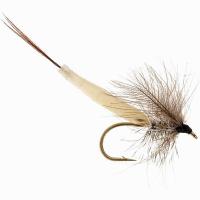 Latex Mayfly / Daddy Bodies