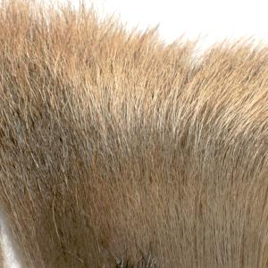 Elk Hair