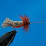 G & H Sedge Orange Special Dry Trout Fishing Fly #10 (D470)