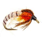 Turrall Cream Sedge Pupae Standard Nymph Trout Fly