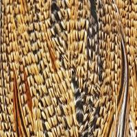 Metz Cock Saddles - Grade 2