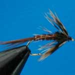 Pheasant Tail Soft Hackle Nymph Trout Fishing Fly #12 (N190)