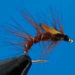 Snatcher Fiery Brown Jc Wet Trout Fishing Fly #12 (W228)