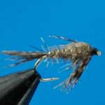 March Brown Nymph Trout Fishing Fly #12 (N155)