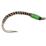 Turrall Neon Quill Buzzers