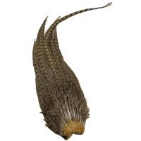 Cock Pheasant Complete Tail - Natural