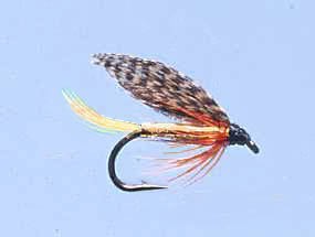 Muddler Minnow Trout flies, 18 Pack, 6 Colours Mixed Size 8/10/12, Fishing flies