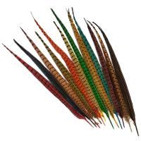 Cock Pheasant Centre Tail